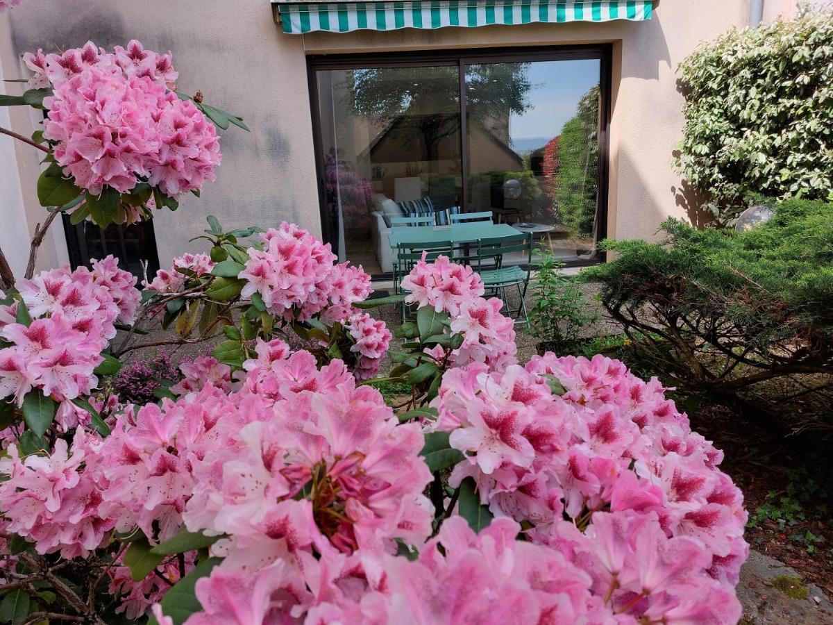 罗德兹Le Denyspuech 55M2 Plein Centre Avec Jardin!公寓 外观 照片