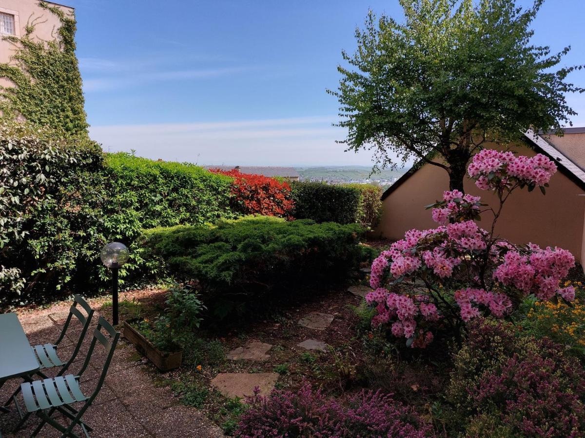 罗德兹Le Denyspuech 55M2 Plein Centre Avec Jardin!公寓 外观 照片