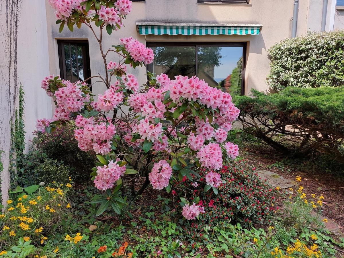 罗德兹Le Denyspuech 55M2 Plein Centre Avec Jardin!公寓 外观 照片